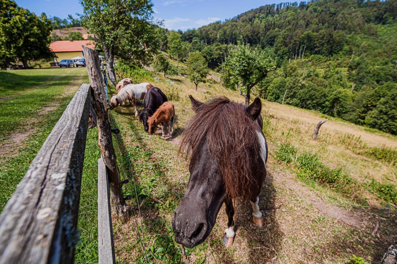 Apartamento Eko Pony Ranch Ogrizek Podčetrtek Exterior foto