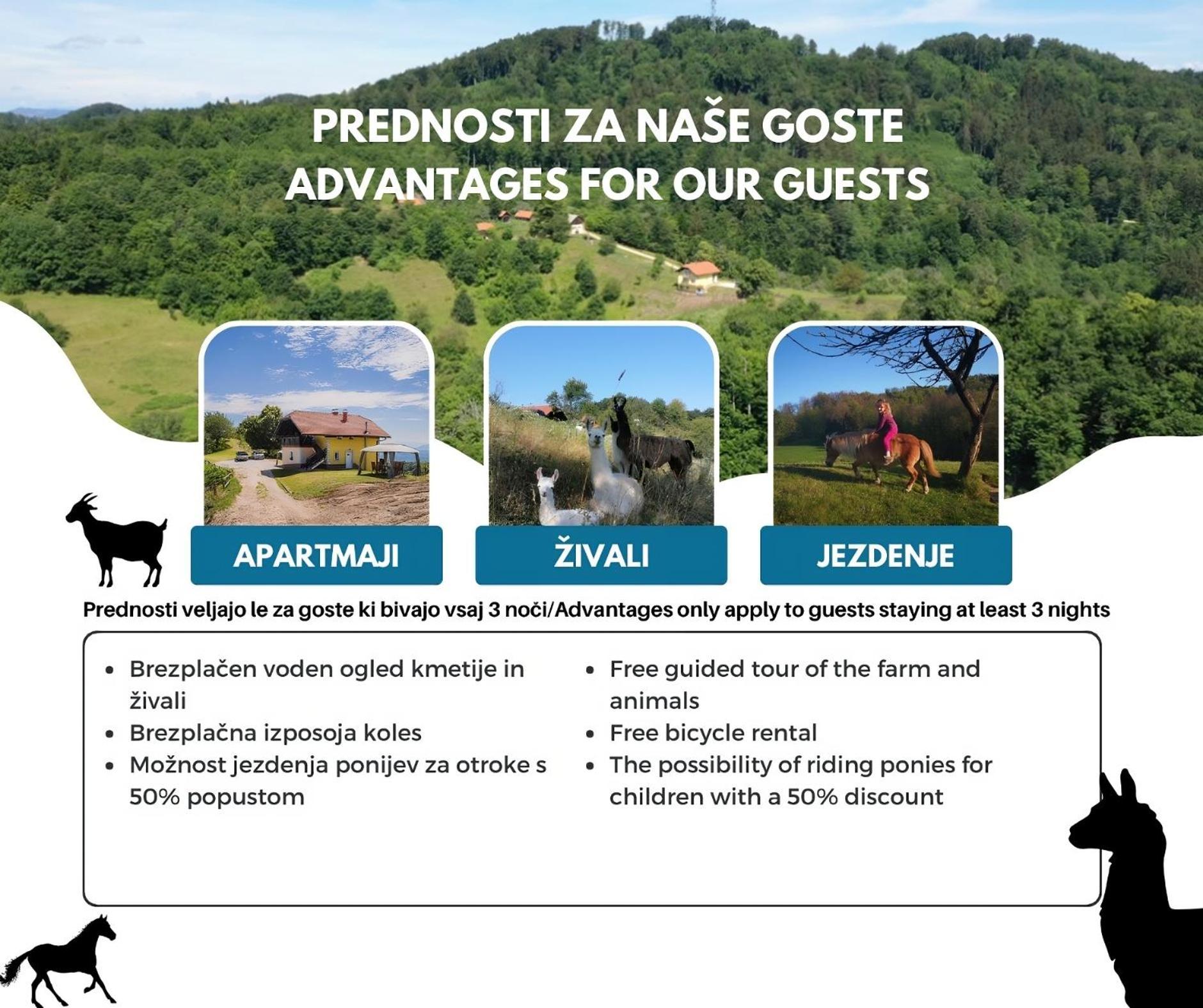 Apartamento Eko Pony Ranch Ogrizek Podčetrtek Exterior foto